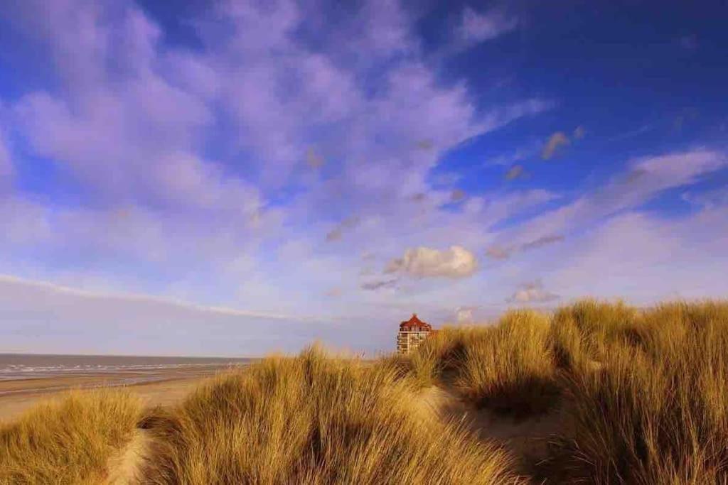 Face A La Mer, Appartement Rdc Bray Dunes Eksteriør billede